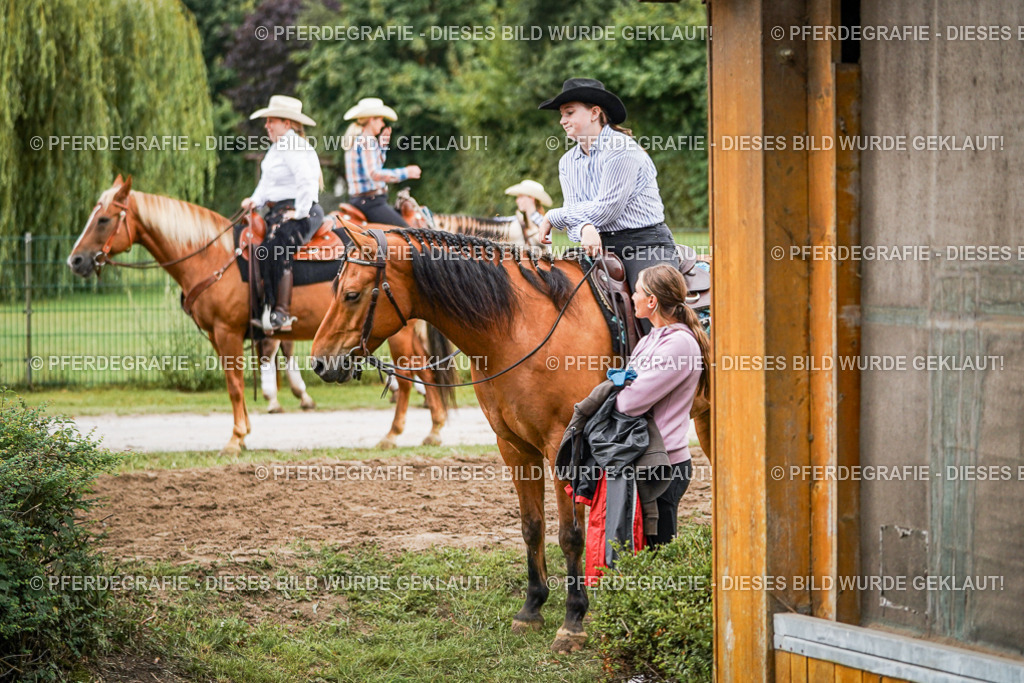 DSC08966 | Pferdegrafie