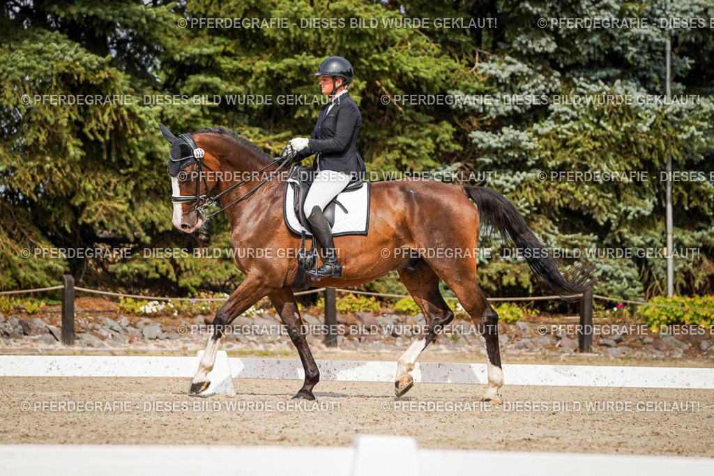 DSC06548 | Pferdegrafie