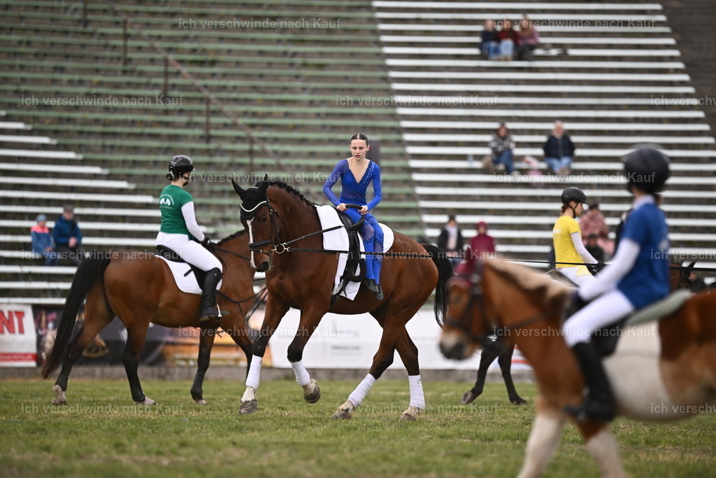 PI26_Show_Sara_Landvogt_226_1668.JPG | working equitationturnier fotograf videograf stoibphotography marixx film working equitation deutschland reitsport turnierfotografie eventfotografie equestrian events