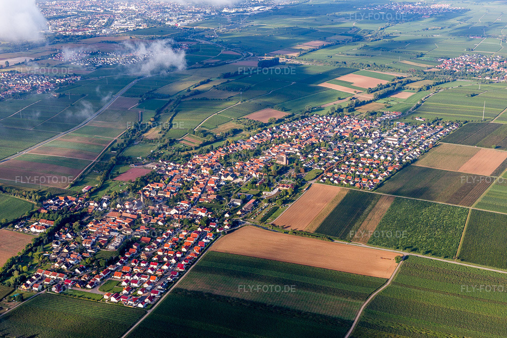 Luftbild: Ortsansicht aus Nordosten in Essingen im Bundesland Rheinland-Pfalz in Deutschland. Foto: IMG_103375.jpg vom 10.09.2017 durch Werner Riehm/FLY-FOTO.de