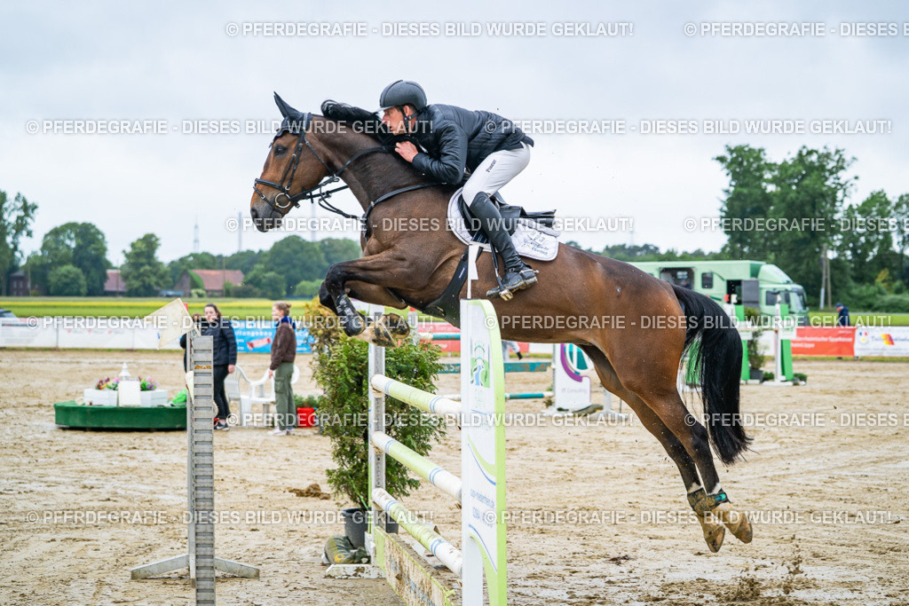 DSC03635 | Pferdegrafie