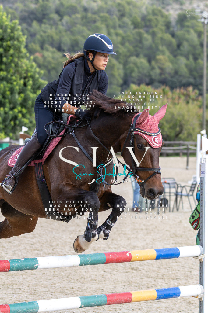 IMG_3110 | s-jay-photography - Realisiert mit Pictrs.com