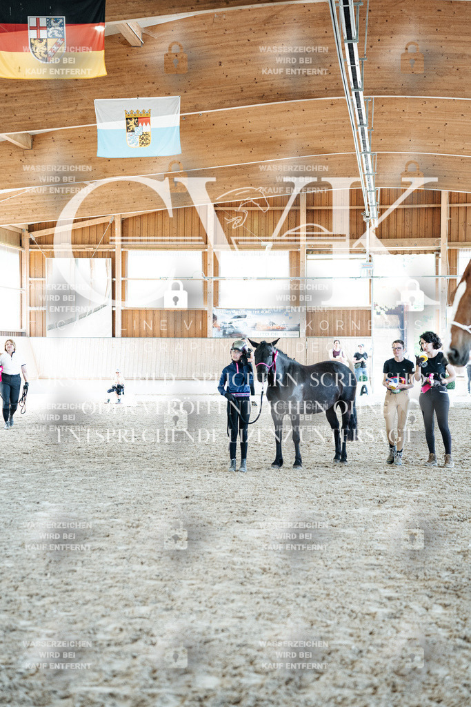 CK703233 | Turnierfotografie Pferdefotografie Trier Rheinland-Pfalz Pferdesport Reitsport Tierfotografie Sportfotografie Pferdevideo Pferdevideografie Equestrianvideography equestrianphotography  - Realized with Pictrs.com