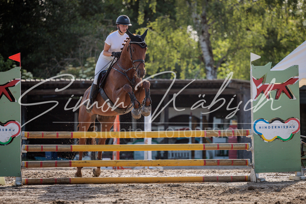 20260529-_3LI0550 | Tierfotografie Pferde, Hunde, Katzen, Haustiere.
Turnierfotografie Reitturniere, Reiten, Springreiten, Dressur in Hanau, dem Main-Kinzig-Kreis und dem Rhein-Main- Gebiet um Frankfurt