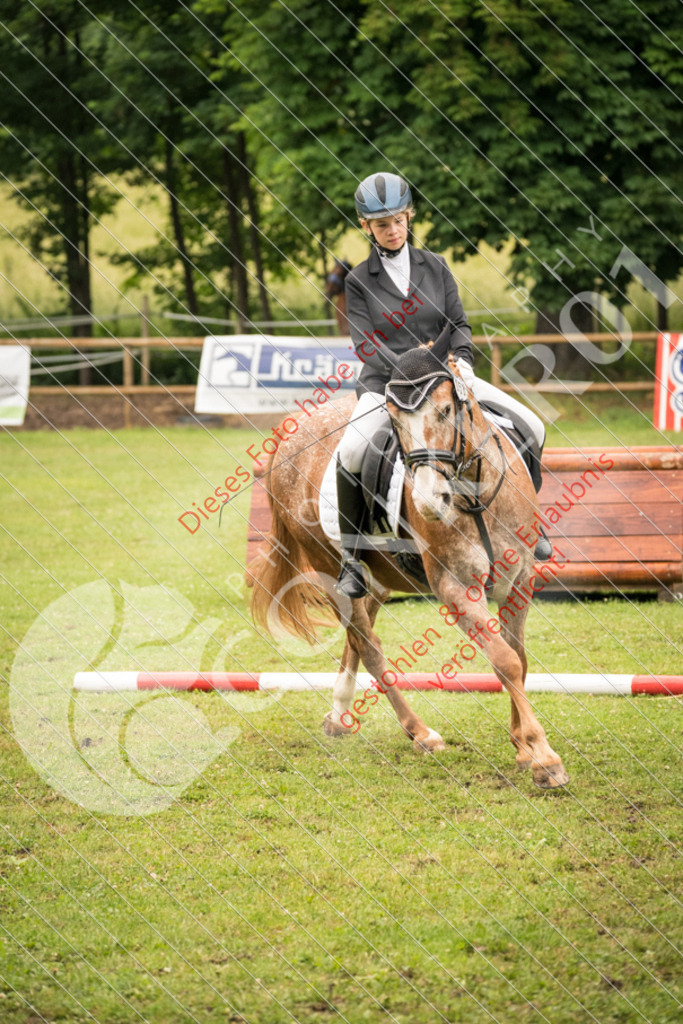 DSC_4793 | Sport-, Event- und Tierfotos in Profiqualität. Einfach auswählen, bestellen und herunterladen. Dein Moment – perfekt festgehalten.