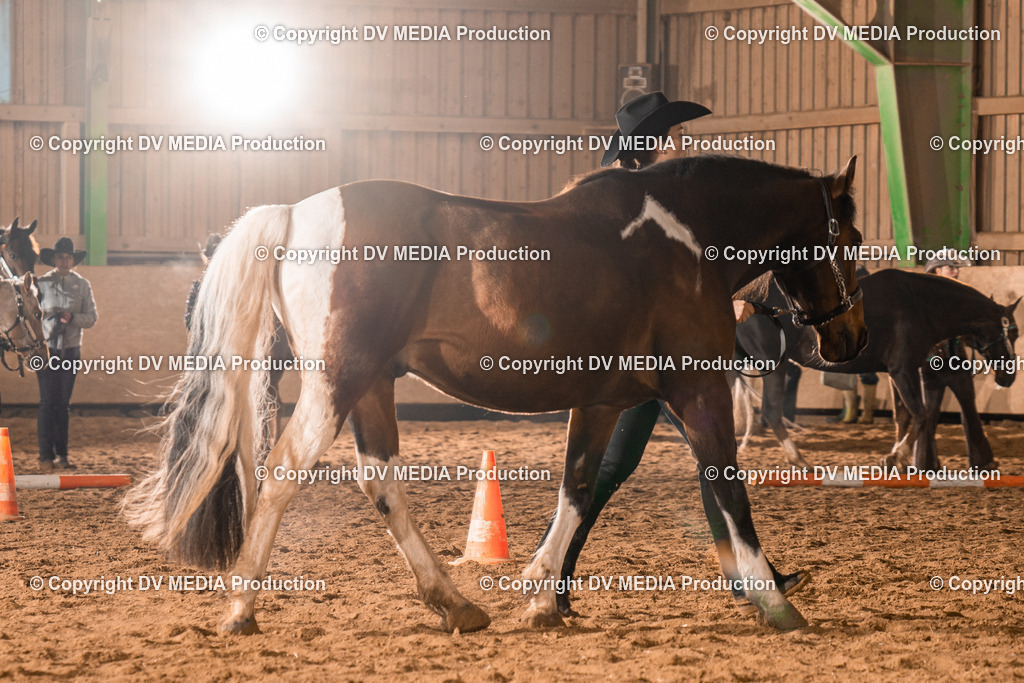 BAL01230 | dv-media-shop - Realisiert mit Pictrs.com