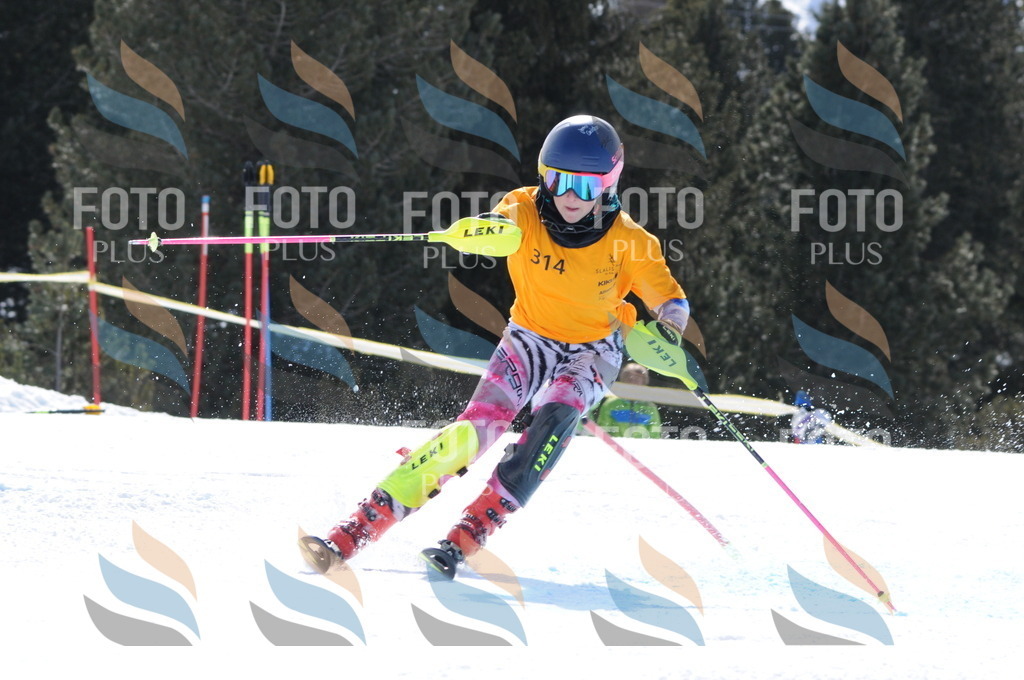 C9197 | holidayphoto