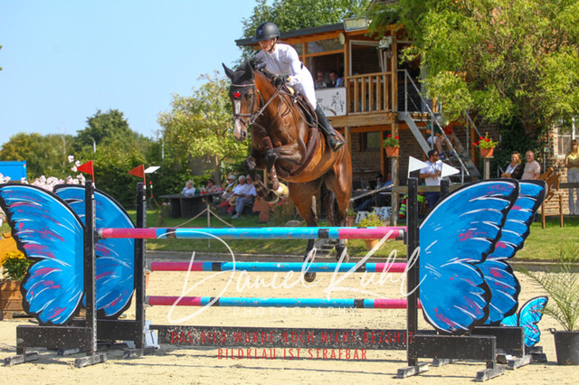 Gut Blee25_Zwei Phasen Springprfg S_0045 | Turniersportfotografie; Pferdefotografie; Dressurfotografie