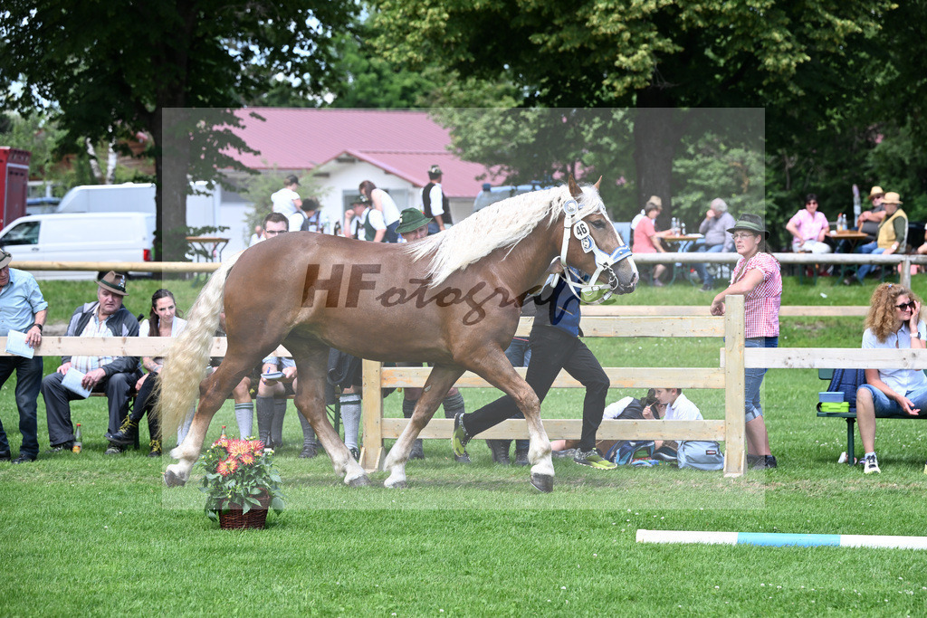 Kat-Nr. 46 Escarda G v. Venturin_Grandauer_22240809 | hf-fotografie - Realizzato con Pictrs.com