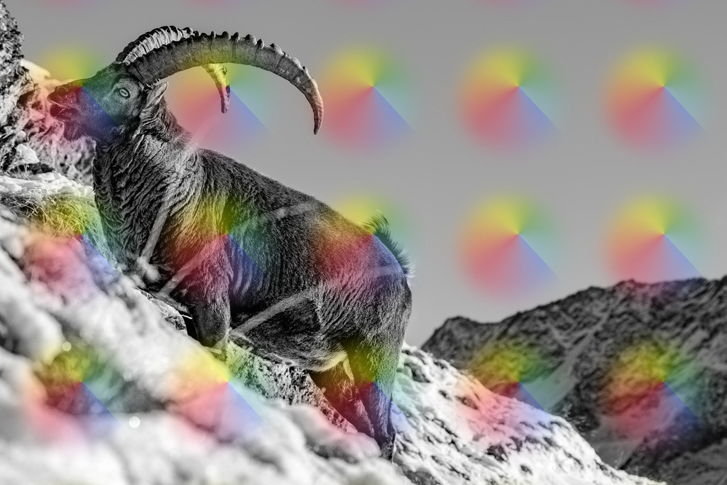 148A4599 | FineArtPrint, Hahnemühle, FeeGalerie, Fee Galerie, Fotokunst, Fotografie, Canonphotography, Bergfoto, Matterhorn, Rimpfischhorn, Allalinhorn, Saas-Fee, Wallis, Valais, Switzerland, Bergfotografie