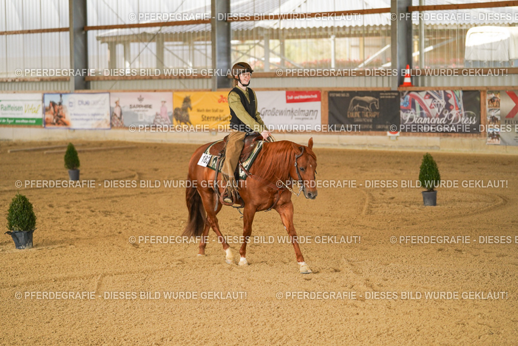 DSC06041 | Pferdegrafie