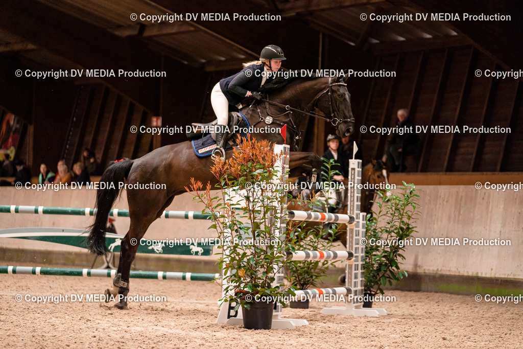 Springen Tag 1-509 | dv-media-shop - Realisiert mit Pictrs.com