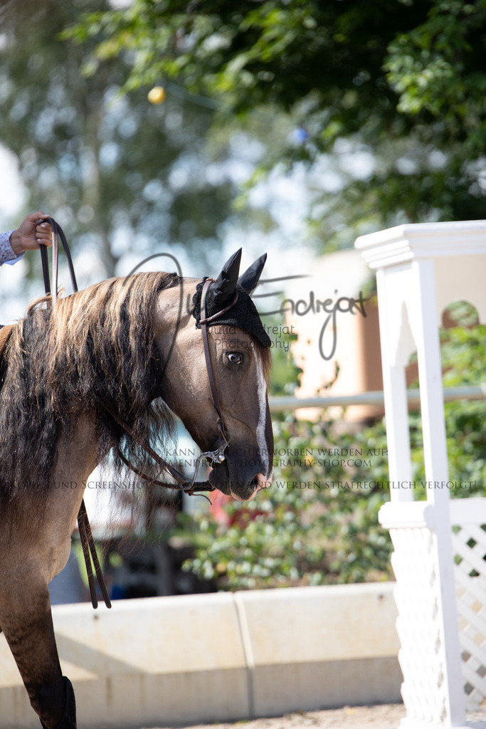 20220625-JuliaEndrejatPhotography-0149 | Julia Endrejat Photography