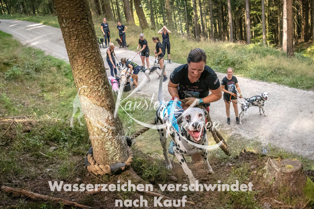 1046_ZZ92218 | kk-dogfotos