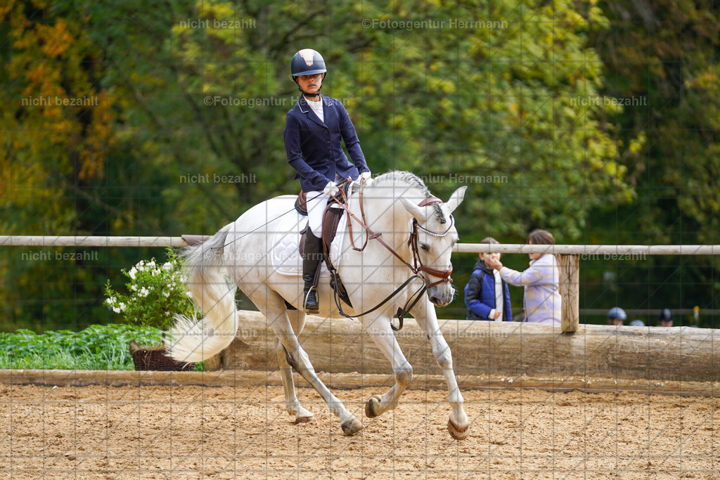 20221008-FAH01257 | Diessen am Ammersee, 2022, Dressur- und Springturnier, Reitsportbilder, Turnierfotografen Bayern, Pferdefotografen, Fotoagentur Herrmann, Turnierbilder