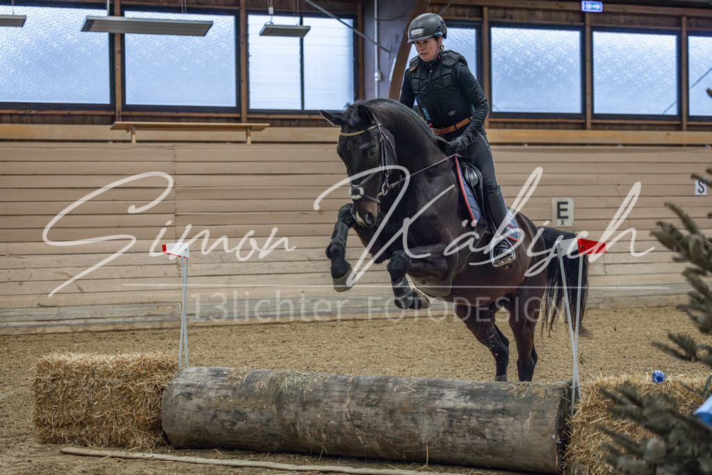 20260221-_3LI8332 | Tierfotografie Pferde, Hunde, Katzen, Haustiere.
Turnierfotografie Reitturniere, Reiten, Springreiten, Dressur in Hanau, dem Main-Kinzig-Kreis und dem Rhein-Main- Gebiet um Frankfurt