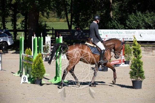 2B4A0461 | pixelfaenger - Realisiert mit Pictrs.com