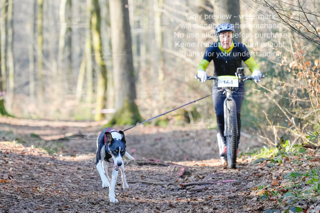 Scooter_So_So-16 | stephaniefillaphotographie - Realisiert mit Pictrs.com