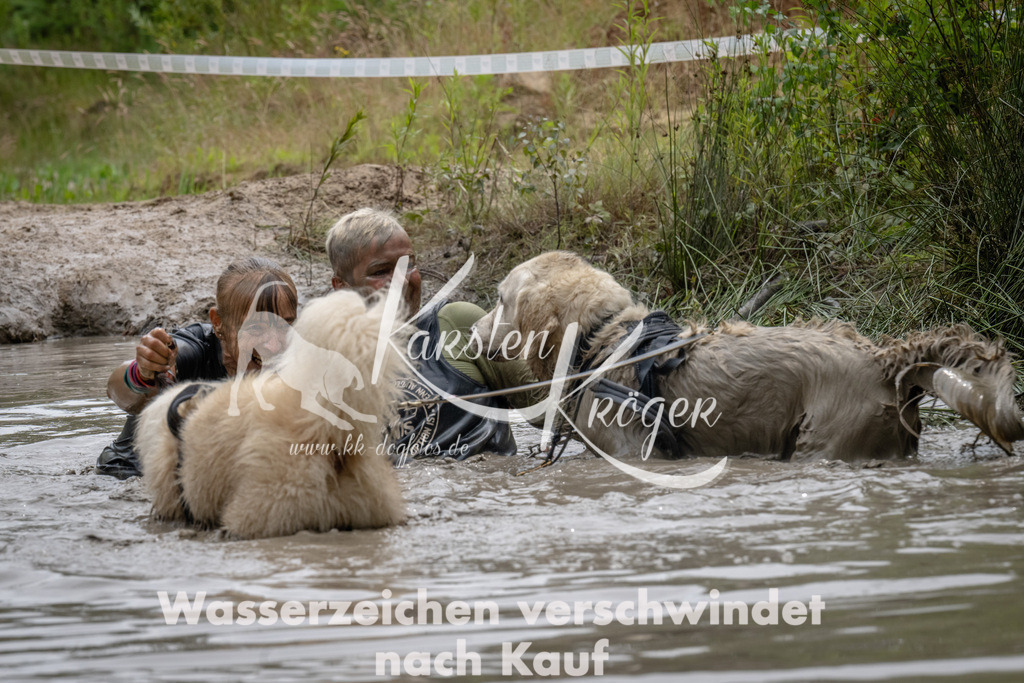 1445_ZZ93701 | kk-dogfotos