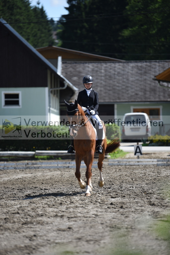 DSC_0156 | equestrian-live-com