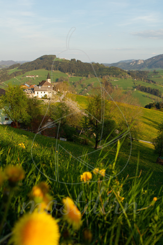 St. Ägidi im Mostviertel | Bei Veröffentlichung des Bildes ist eine Namensnennung wie folgt erforderlich: 
Foto: Mostdirn Irmgard Wieser - Realisiert mit Pictrs.com