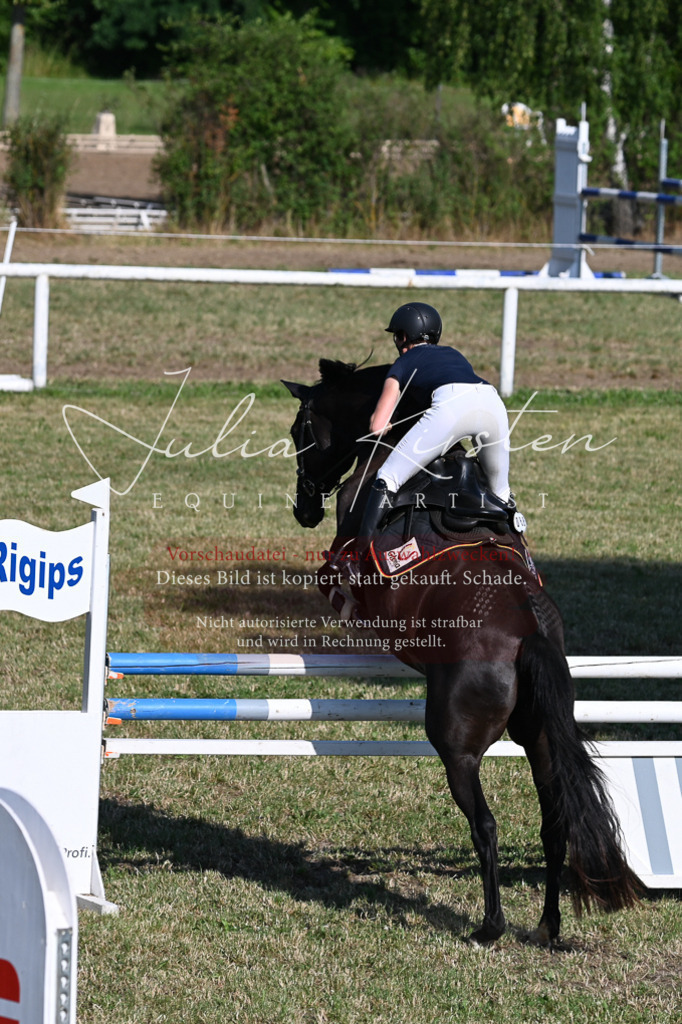 DSC_2550 | Pferde- und Turnierfotografie in Westsachsen. Pferdeportraits, Auftragszeichnungen und intuitive Kunst.