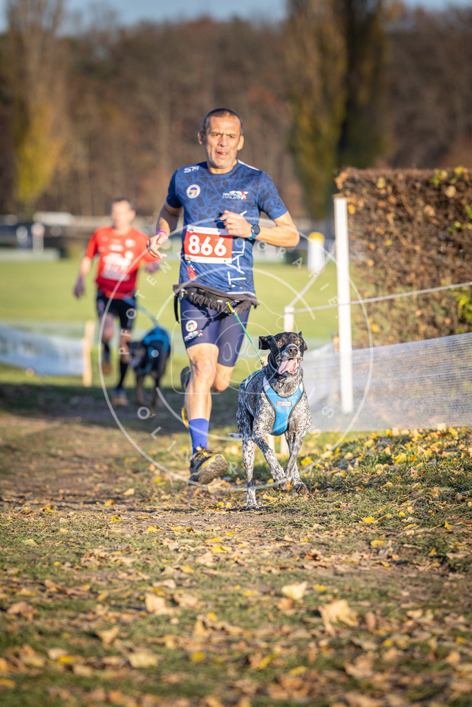CaniXpix_DV3A4107 | Hundefotografie, Tierfotograf, Pfotenfotografie, Fotoshooting Hund, Hunde Portrait, Hundesport, Hundeportraits, Heideshooting, Hunde, Sportfotograf, Hundefotograf, Turnierhundsport, THS,  - Realisiert mit Pictrs.com