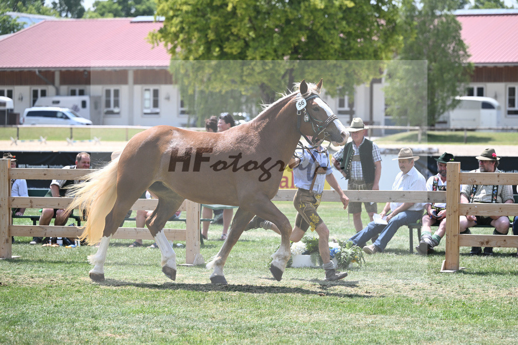 Kat-Nr. 56 Resi_Hell_20230898 | hf-fotografie - Realisiert mit Pictrs.com