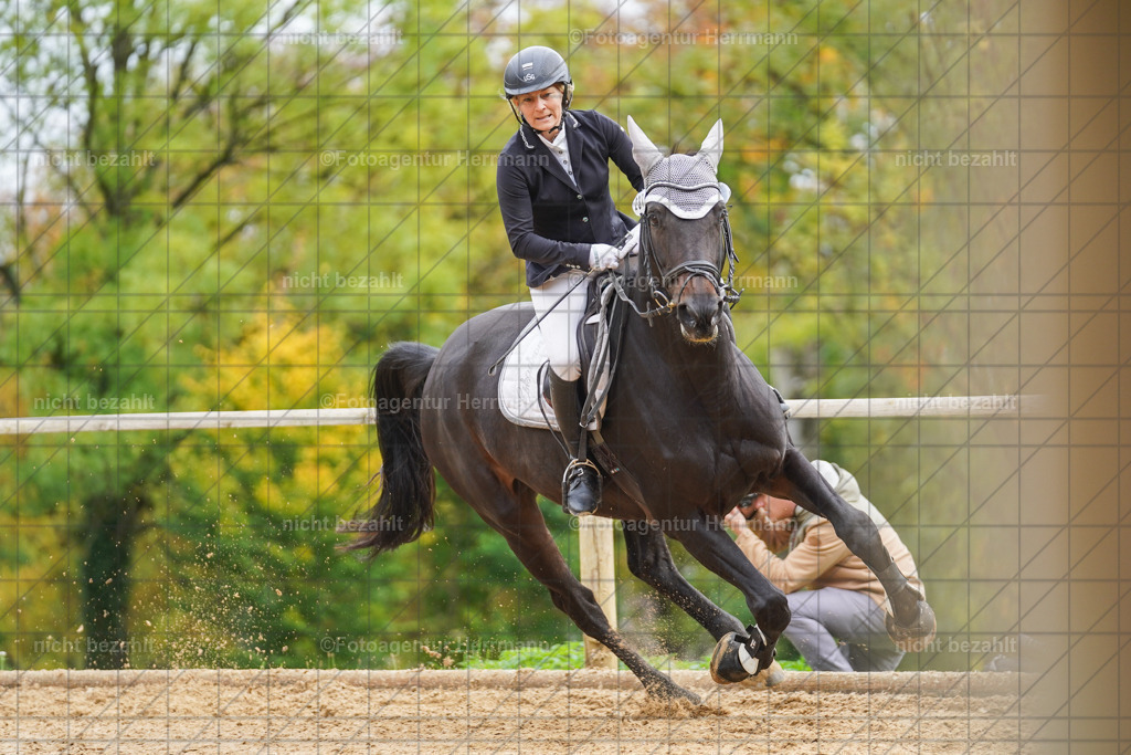 20221009-FAH08662 | Diessen am Ammersee, 2022, Dressur- und Springturnier, Reitsportbilder, Turnierfotografen Bayern, Pferdefotografen, Fotoagentur Herrmann, Turnierbilder