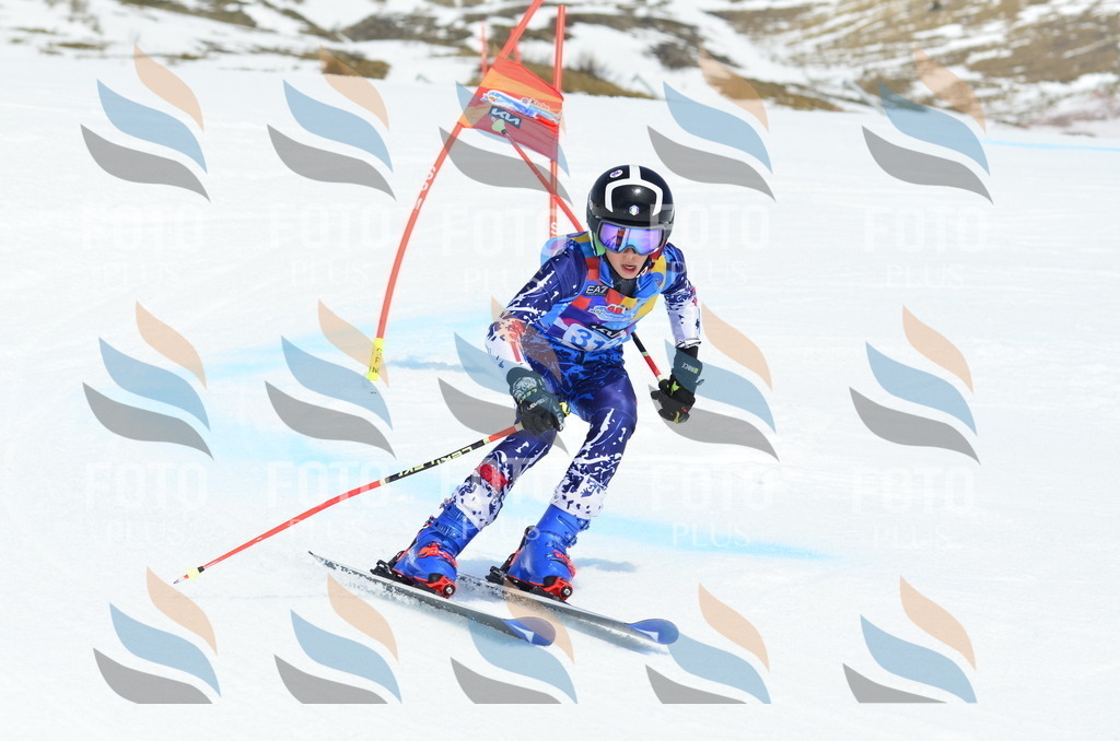 _ELE2354 | holidayphoto