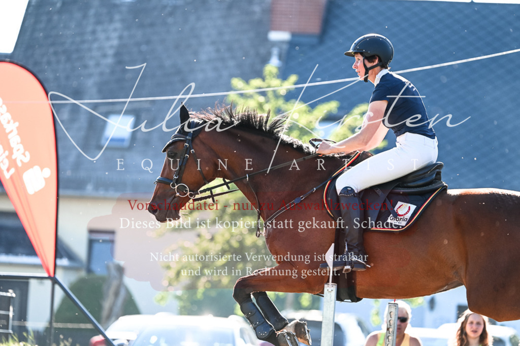 DSC_2708 | Pferde- und Turnierfotografie in Westsachsen. Pferdeportraits, Auftragszeichnungen und intuitive Kunst.