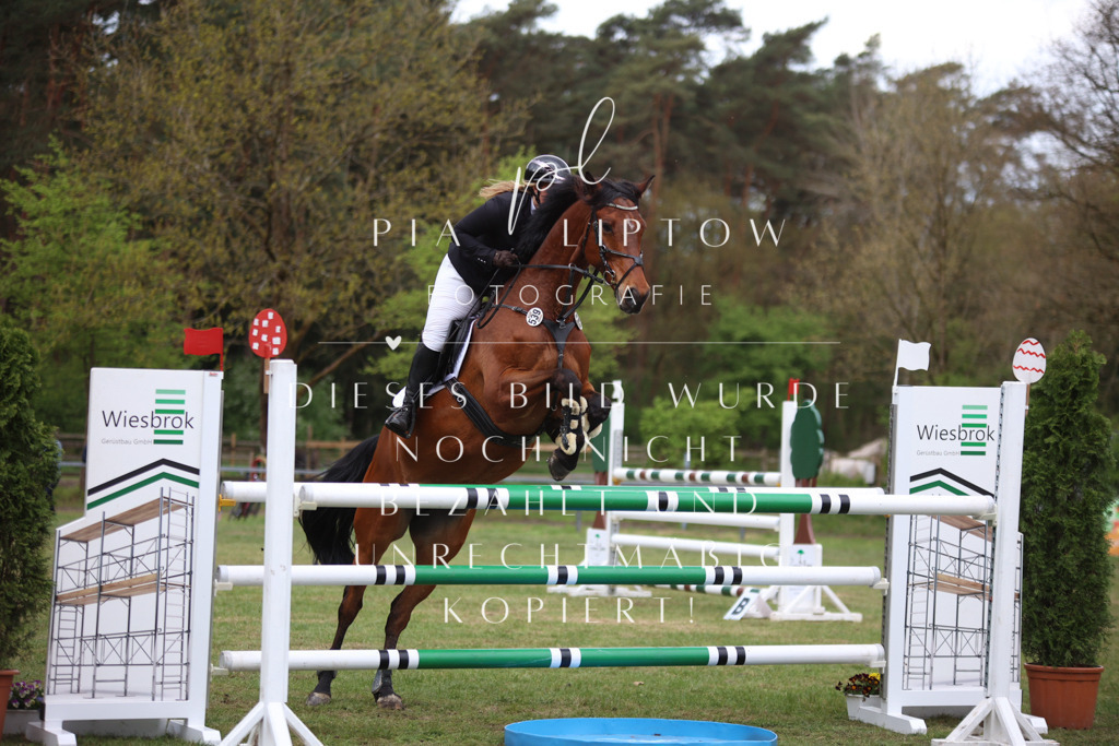 IMGT1771 | pl-fotografie