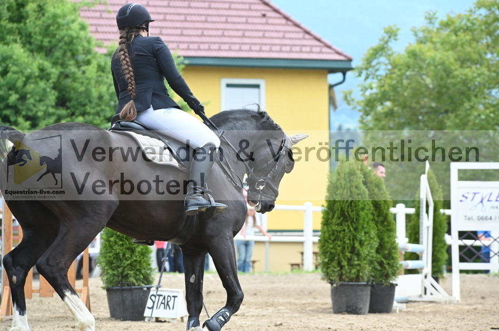 DSC_8212 | equestrian-live-com