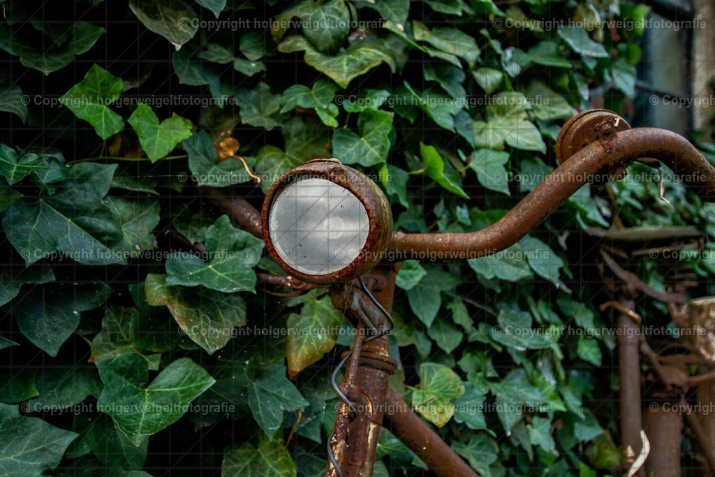 20221008085109D75_0696 | Kaufen sie online außergewöhnliche Fotografien auf Leinwand Acrylglas Fotoprint Aludibond von holgerweigeltfotografie - Realisiert mit Pictrs.com