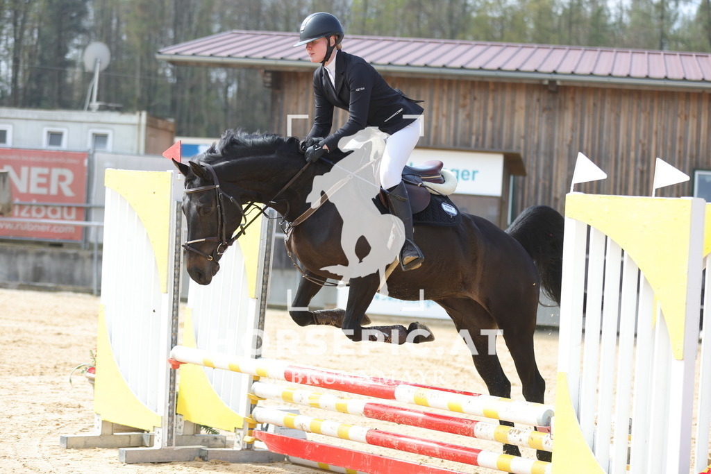 0P6A9513 | Willkommen bei Brunnmayr - Design & Fotografie – Ihrem Spezialisten für Reitturniere und Pferdeveranstaltungen in Oberösterreich, Salzburg und Bayern! Seit über 17 Jahren sind wir leidenschaftlich dabei.