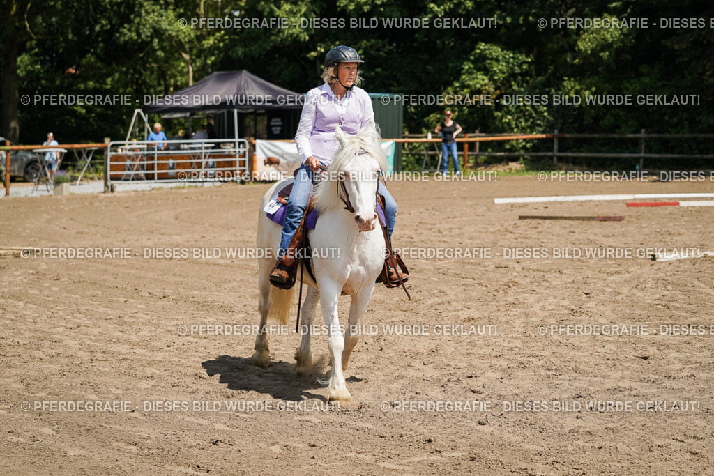 DSC07224 | Pferdegrafie