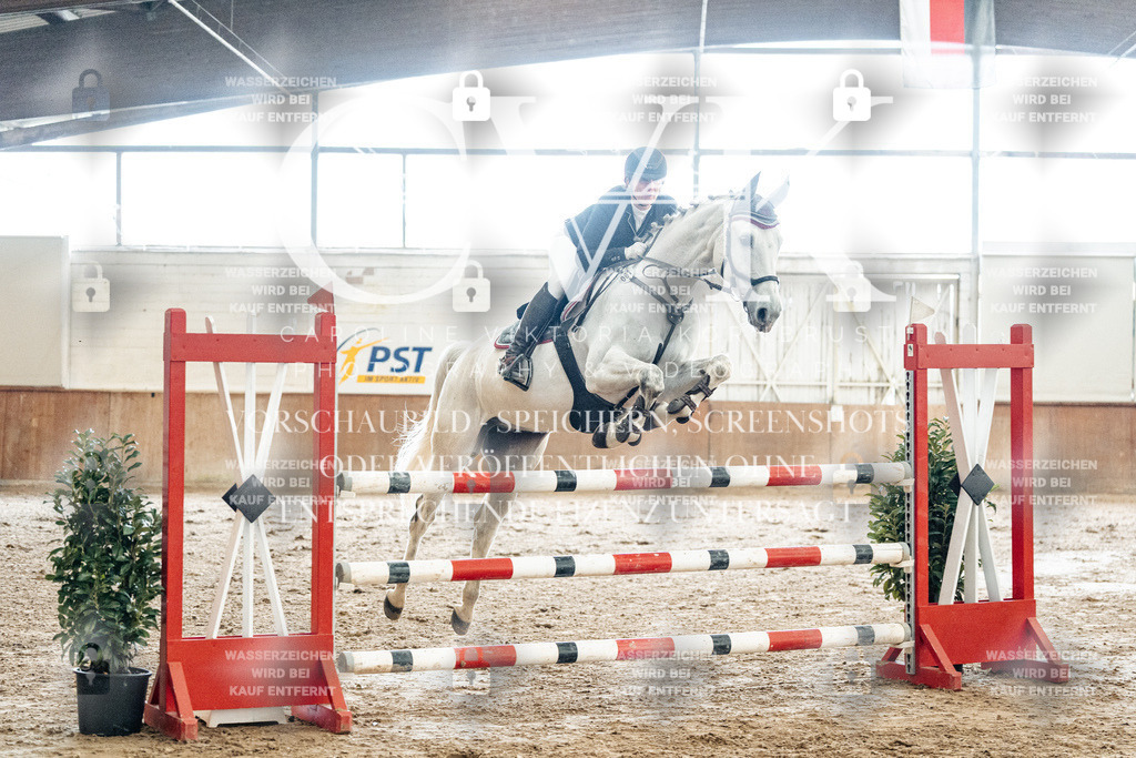 CK906280 | Turnierfotografie Pferdefotografie Trier Rheinland-Pfalz Pferdesport Reitsport Tierfotografie Sportfotografie Pferdevideo Pferdevideografie Equestrianvideography equestrianphotography  - Realisiert mit Pictrs.com