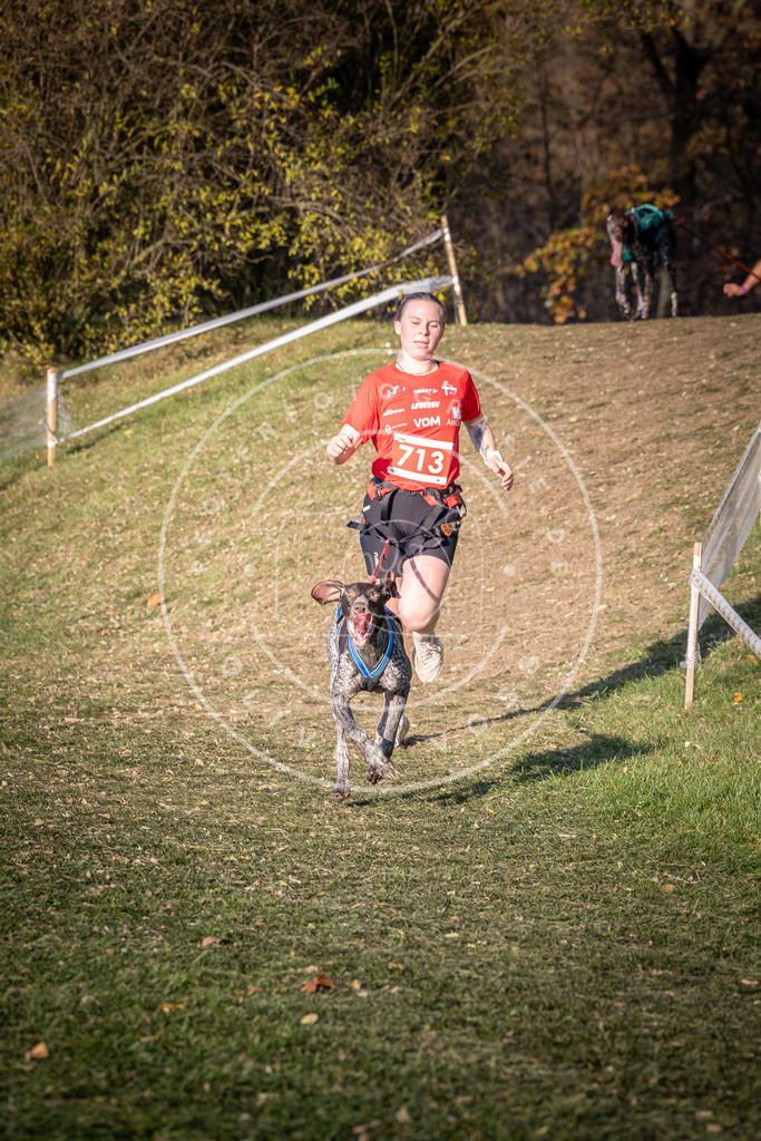 CaniXpix_0L8A9626 | Hundefotografie, Tierfotograf, Pfotenfotografie, Fotoshooting Hund, Hunde Portrait, Hundesport, Hundeportraits, Heideshooting, Hunde, Sportfotograf, Hundefotograf, Turnierhundsport, THS,  - Realisiert mit Pictrs.com
