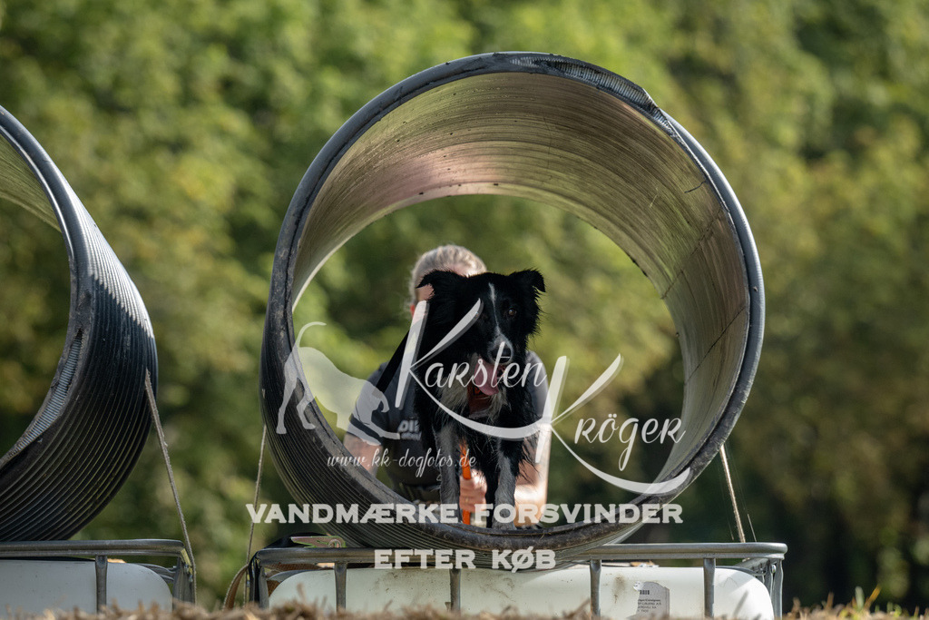 0939_ZZ90842 | kk-dogfotos