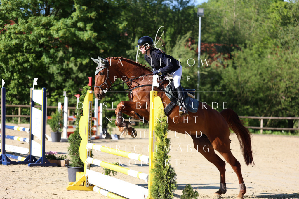 IMGS5503 | pl-fotografie