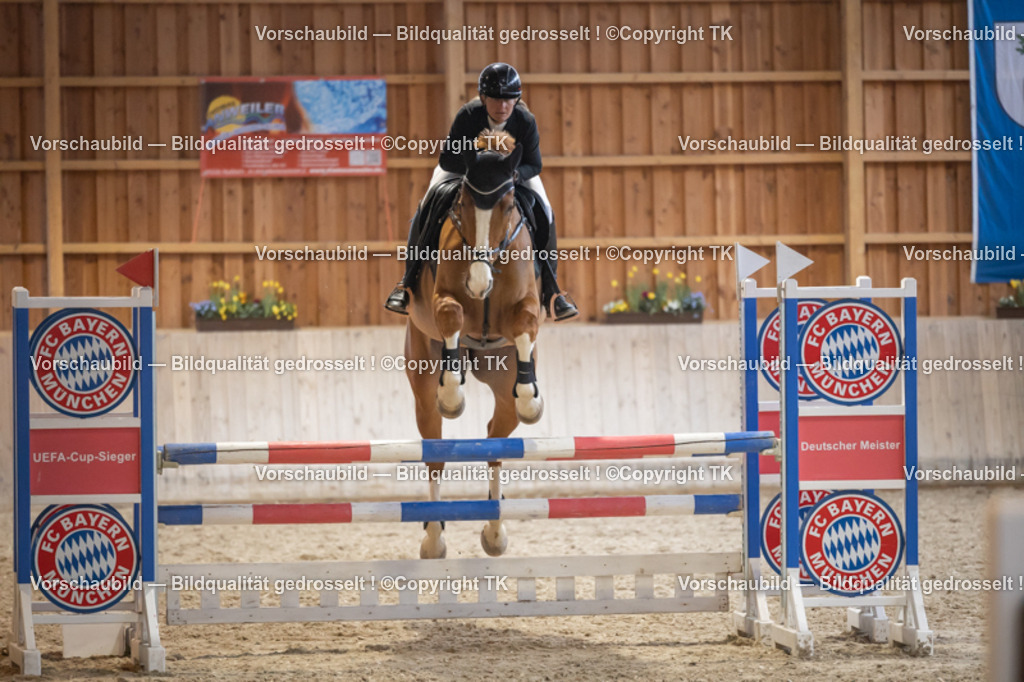 _D5A8629 | Emotionale Pferde- & People-Fotografie rund um Heidelberg, Leimen & Umgebung. Natürliche Fotos von Pferd, Mensch & Familie. Jetzt Termin sichern!