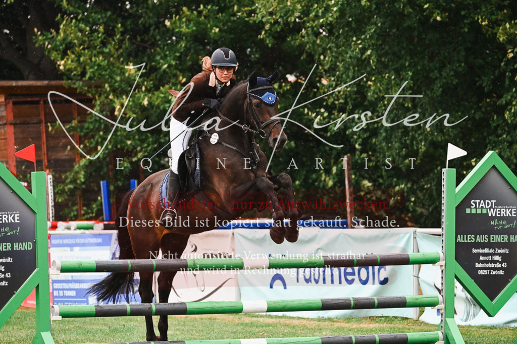 DSC_6593 | Pferde- und Turnierfotografie in Westsachsen. Pferdeportraits, Auftragszeichnungen und intuitive Kunst.