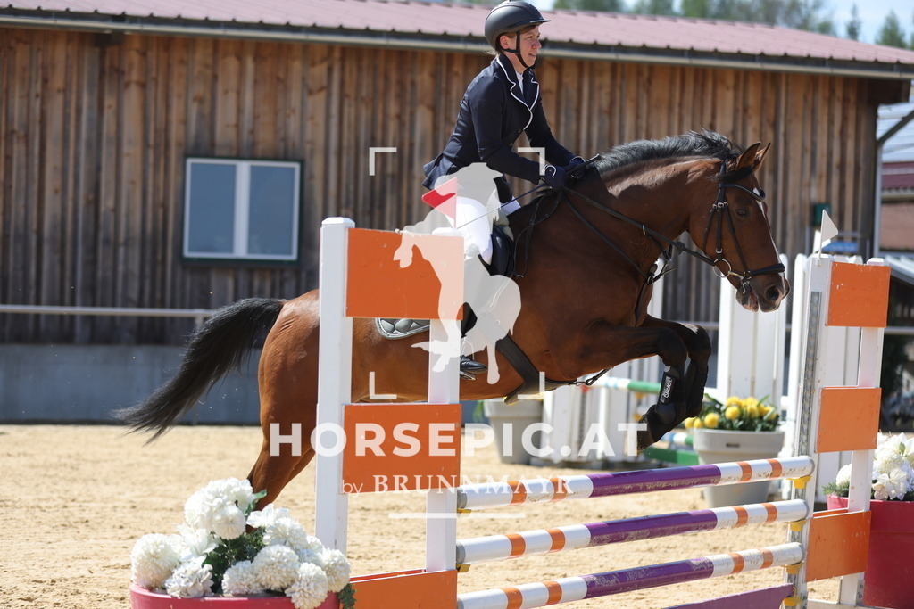 0P6A0392 | Willkommen bei Brunnmayr - Design & Fotografie – Ihrem Spezialisten für Reitturniere und Pferdeveranstaltungen in Oberösterreich, Salzburg und Bayern! Seit über 17 Jahren sind wir leidenschaftlich dabei.