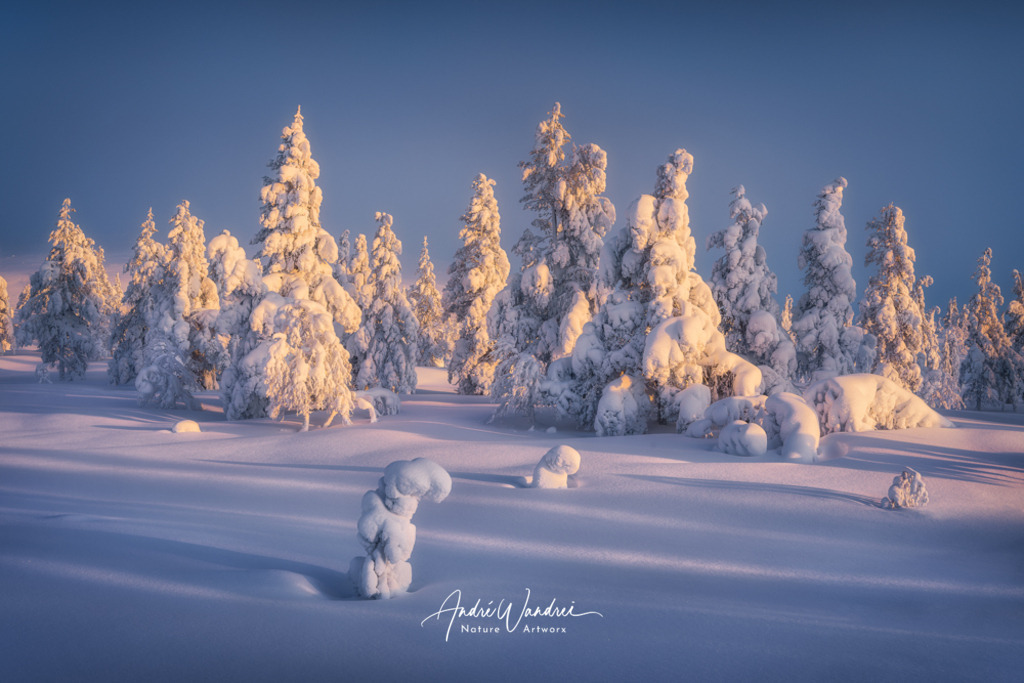 Winterwald | Andre Wandrei - Nature Artworx - Realisiert mit Pictrs.com