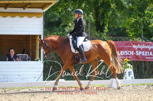 DKP42928 | Turniersportfotografie; Pferdefotografie; Dressurfotografie