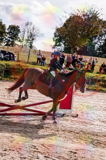 2026_10_03_Siefer-Hof_143754_Z81_07022779 | Professionelle Reitsport-, Turnier- und Eventfotografie von Robert Broda. Galerien mit ausgewählten und bearbeiteten Bildern direkt online ansehen und bestellen.