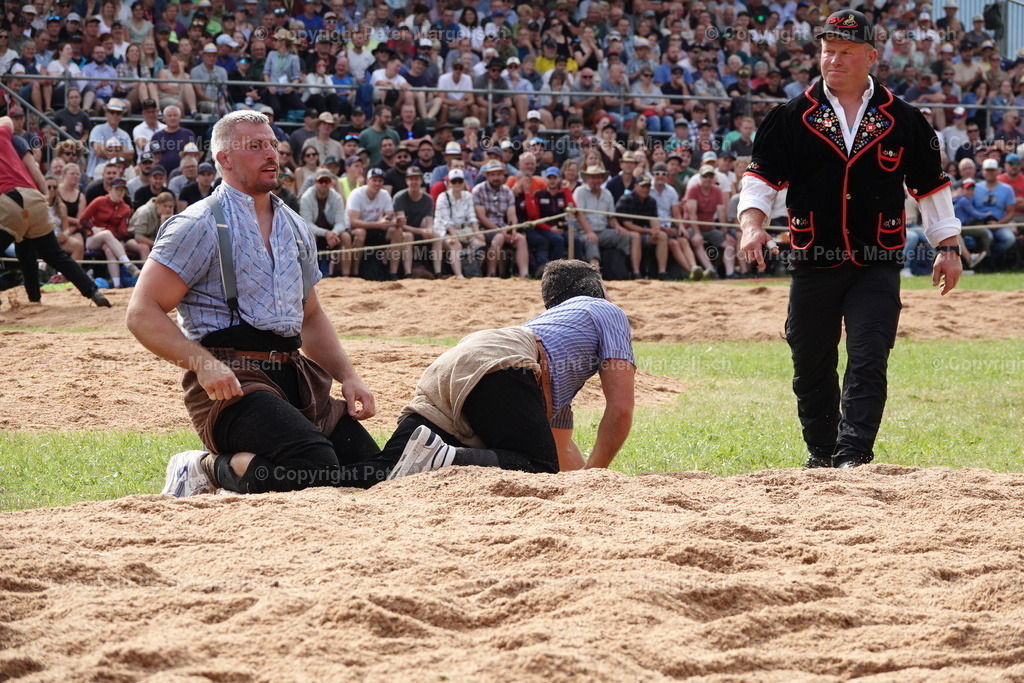 DSC01209 | Schwingen - Realisiert mit Pictrs.com
