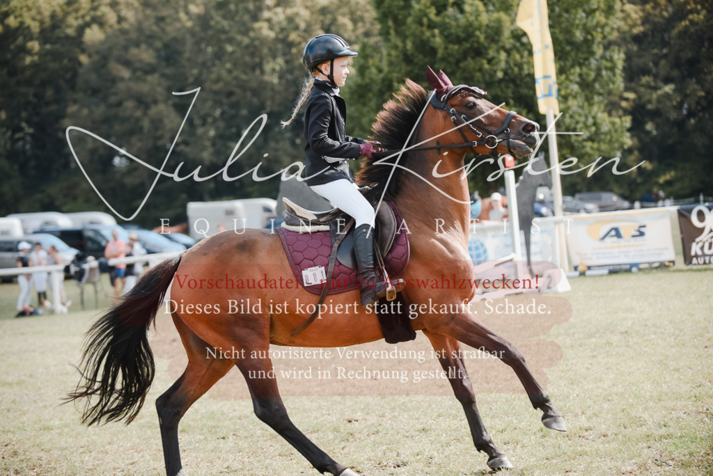 DSC_5417 | Pferde- und Turnierfotografie in Westsachsen. Pferdeportraits, Auftragszeichnungen und intuitive Kunst.