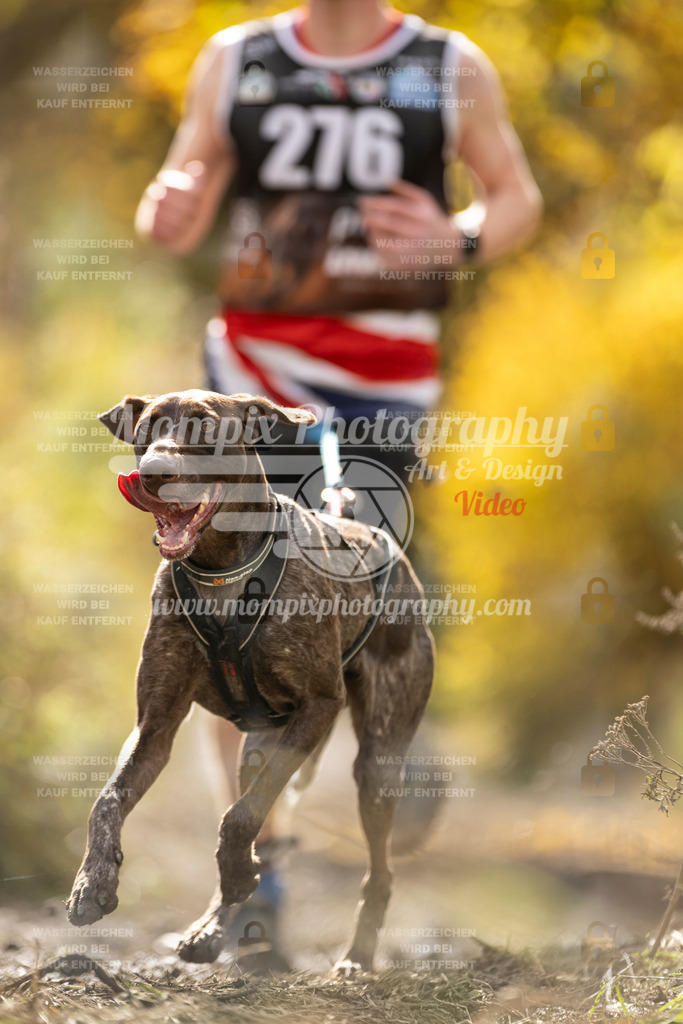 MompixPhotography_ICF_WC_2024_SA_Run_-115 | PayLife