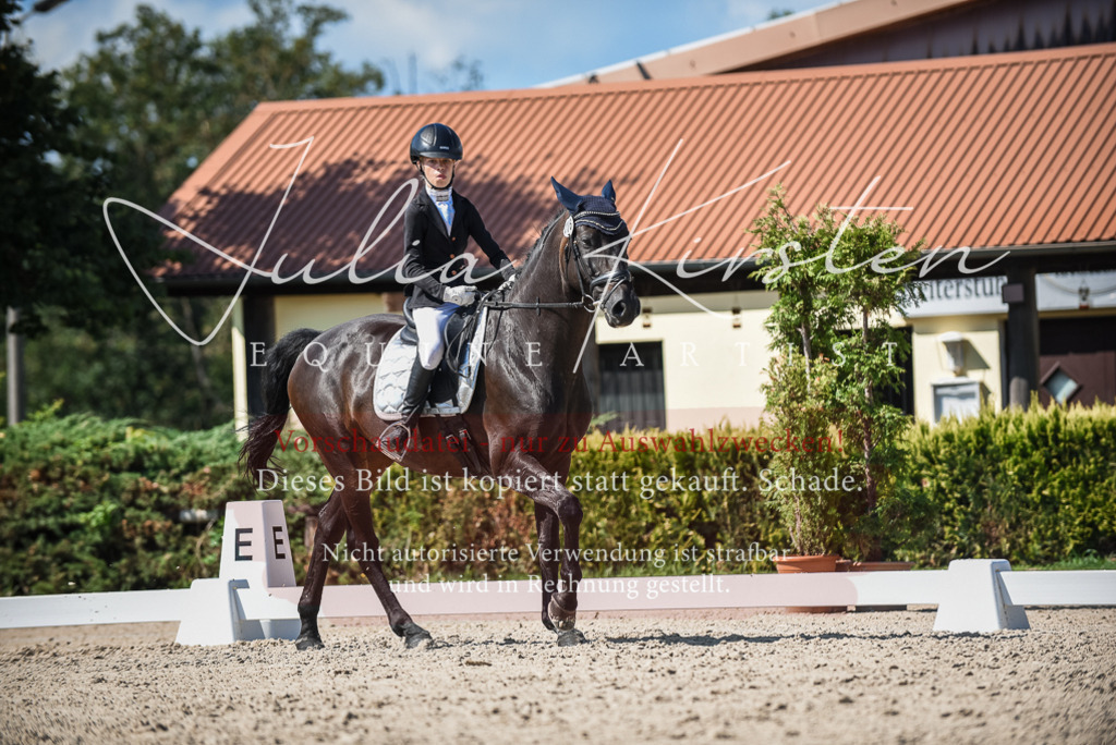 DSC_9555 | Pferde- und Turnierfotografie in Westsachsen. Pferdeportraits, Auftragszeichnungen und intuitive Kunst.